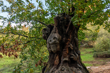 Landscape in Las Médulas, León. It is an ancient gold mine of roman empire (I and II century BC) in Spain and World Heritage 