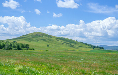 Fototapeta na wymiar Beautiful hills covered with fresh greenery with cloud shadows.