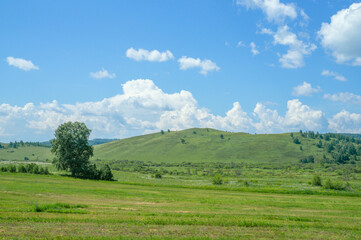 Fototapeta na wymiar Beautiful hills covered with fresh greenery with cloud shadows.