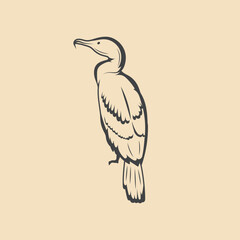 Retro cormorant Bird vector Stock Illustration