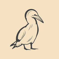 Fototapeta premium Retro gannetl Bird vector Stock Illustration