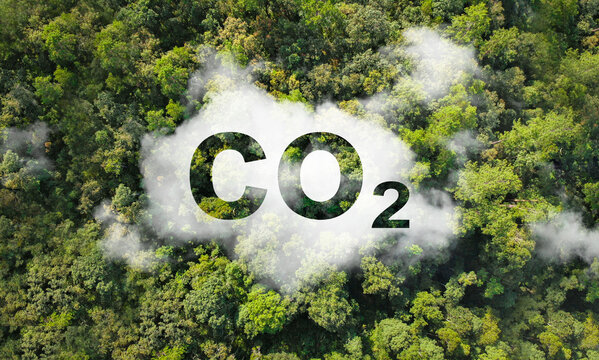 CO2 emissions concept reduction icon in top view of environmental forest. sustainable development and green business based on renewable energy Limit climate change.