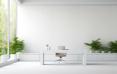 White open space office interior mock up wall