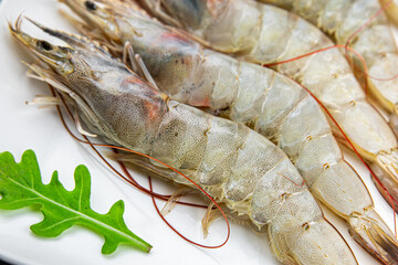 raw shrimp fresh prawn seafood fresh delicious healthy eating cooking appetizer meal food snack on the table copy space