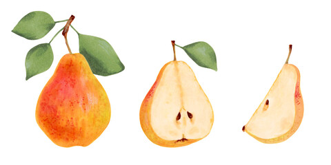 Collection of yellow pears with leaves. Whole, halves and pieces of pear. Ripe fruits from the tree. Vegetarian products. Organic food. Botanical watercolor illustration. Hand drawn isolated.
