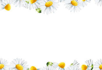 Watercolor white daisy seamless border and frame isolated. Chamomile. Beauty products and botany set, cosmetology and medicine. For designers, spa decoration, postca - obrazy, fototapety, plakaty