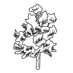 forest Tree line. set of graphics trees elements outline symbol for architecture and landscape design drawing. Vector illustration.