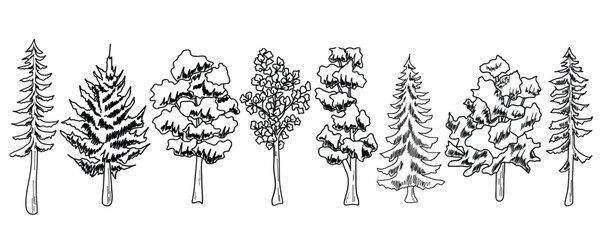 forest Tree line. set of graphics trees elements outline symbol for architecture and landscape design drawing. Vector illustration.