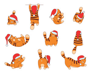 Set of funny cartoon tiger character vector illustration. Happy Chinese New Year animal symbol.