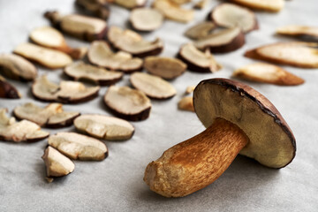 Whole and sliced pine boletes - wild edible mushrooms