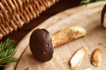 Pine bolete on a table - wild edible mushroom