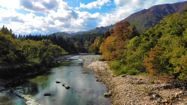 自然豊かな日本の秋の山と川の景色 色とりどりの紅葉と清流のドローンによる空撮風景