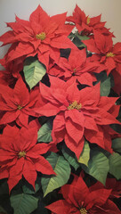 red poinsettia leaves