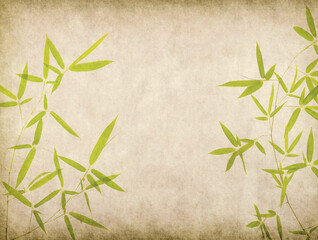 Silhouette of branches of a bamboo on paper background