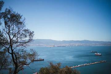 Shot of Algeciras from Gibraltar nature reserve