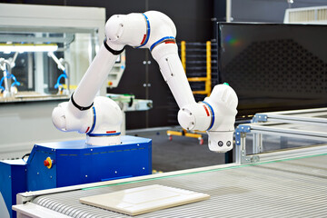 Robot manipulator industry