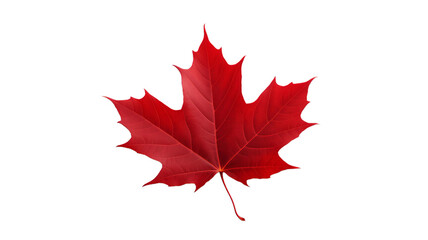 Vibrant Red Maple Leaf Isolated on Transparent Background
