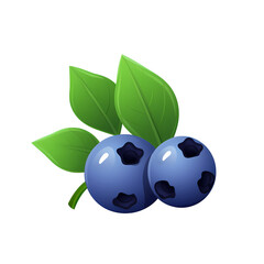 Blueberry flat clipart