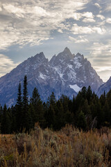 Vertical image of Cathedral Group Mountains in Grand Teton National Park