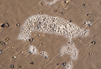 Schaumbild am Strand Wal