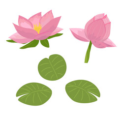 Lotus aquatic plant set. Pink flower with leaves. Exotic and tropical flower. Floristry and botany. Aesthetics and elegance, beauty. Cartoon flat vector collection isolated on white background