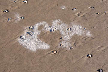 Schaumbild am Strand Küssende Vögel