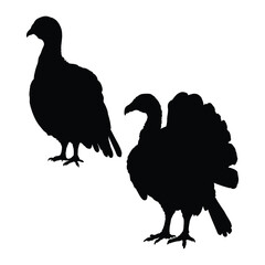 Elegant Turkey Silhouette on Clean White Background