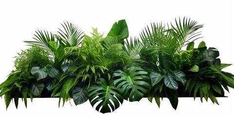 Green leaves of tropical plants bush (Monstera, palm, rubber plant, pine, bird’s nest fern) floral arrangement indoors garden nature backdrop isolated, Generative AI - obrazy, fototapety, plakaty