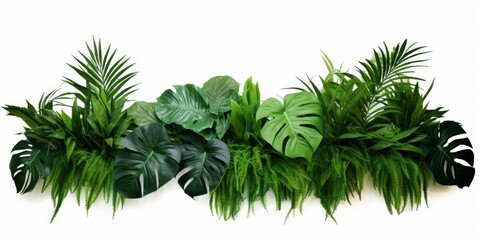Green leaves of tropical plants bush (Monstera, palm, rubber plant, pine, bird’s nest fern) floral arrangement indoors garden nature backdrop isolated, Generative AI