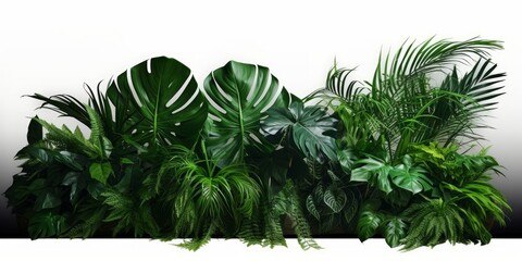 Green leaves of tropical plants bush (Monstera, palm, rubber plant, pine, bird’s nest fern) floral arrangement indoors garden nature backdrop, Generative AI