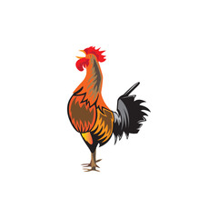 rooster logo vector design illustration