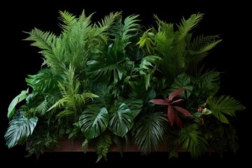Tropical foliage plant bush (Monstera, palm leaves, Calathea, Cordyline or Hawaiian Ti plant, ferns, and fir) floral arrangement indoors garden nature backdrop, Generative AI
