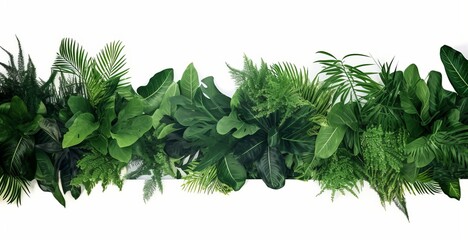 Green leaves nature frame layout of tropical plants bush  (ferns, climbing bird's nest fern, philodendrons, Monstera) foliage floral arrangement on white background with clipping, Generative AI