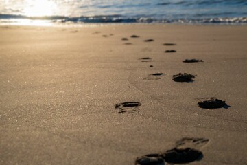 Closeup shot of footprints in the sand at the beach