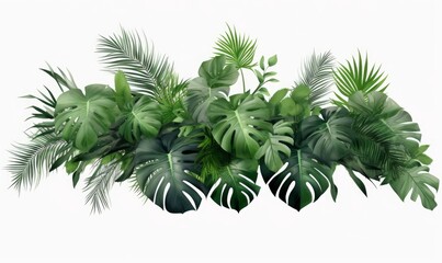 Tropical leaves foliage plant bush floral arrangement nature backdrop on white background, Generative AI