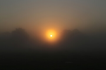 Obraz premium Landschaftsaufnahme bei Sonnenaufgang und Nebel in Norddeutschland