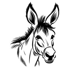 Donkey vector illustration - fine black silhouette against white	