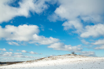 silhouette of lonely tree on the hill in Poland, Europe on sunny day in winter, amazing clouds in blue sky