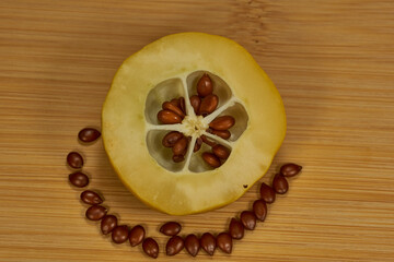 Quince is ripe in the garden. Quince (Latin Cydonia) is a monotypic genus of woody plants of the Rosaceae family. Species Quince is common, or Quince oblong (Latin Cydonia oblonga).