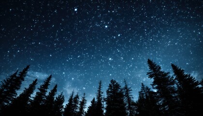 Fototapeta premium Photo of a Midnight Symphony: Celestial Canopy of Sparkling Stars and Majestic Silhouettes