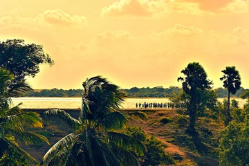 Muurstickers スリランカの古都、アヌラーダプラの寺院から望む田園風景 © AnthgrapherS12