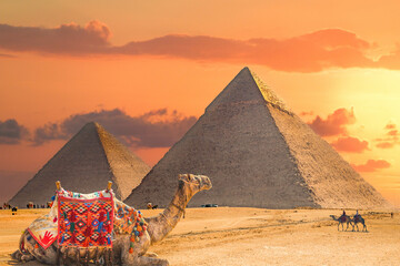 View of the Great Pyramids of Giza, in the foreground a traditionally decorated camel