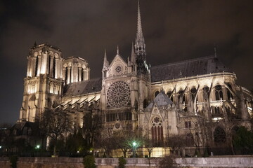 the cathedral of notre dame 