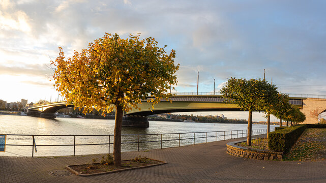 Bonn, Kennedybr&uuml;cke &uuml;ber den Rhein