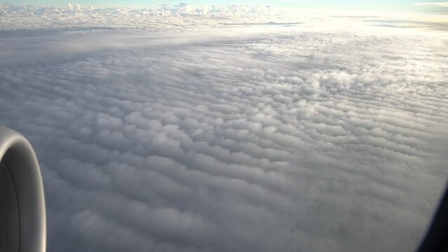 airplane in the sky