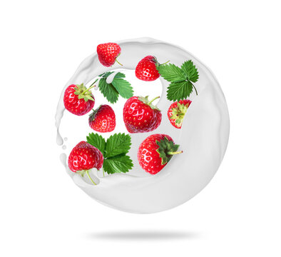 Strawberries with leaves in milk splashes in a spherical shape on white background