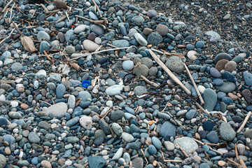 A plastic glass and bottle cap lie on the beach, surrounded by pebbles and other debris