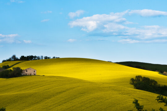 Colline marchigiane 
