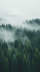 drone photo of a forest in Idaho and the Pacific Northwest on a foggy day, vertical orientation for social platforms 