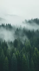 Zelfklevend Fotobehang Mistig bos drone photo of a forest in Idaho and the Pacific Northwest on a foggy day, vertical orientation for social platforms 